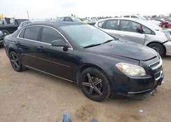 1G1ZC5EB9AF175411: 44544151