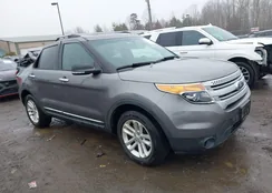 1FM5K8D84DGC96163: 44543558