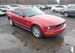 1ZVHT80N395115659: 44545437