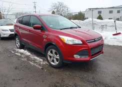 1FMCU9G99EUC72231: 44547718