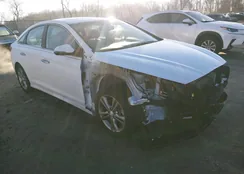 5NPE34AF4JH605893: 44548830