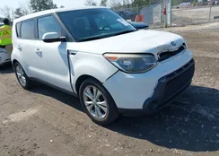 KNDJP3A54F7162001: 44549111