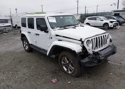 1C4HJXEN8MW612155: 44548366