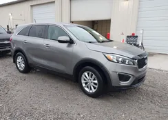 5XYPG4A31JG423899: 44549908