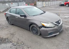 1N4AL3APXGC214971: 44550845