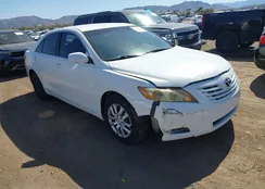 4T1BE46K59U908004: 44550167