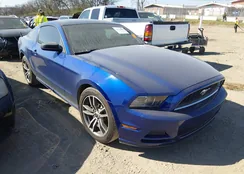 1ZVBP8AM4D5230893: 44550217