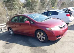 19XFA1F65BE024748: 44551751