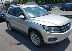 WVGBV3AX0DW596846: 44551820