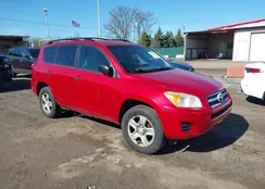 JTMBF4DV5AD030643: 44551204