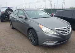 5NPEC4AB6BH279349: 44551253