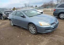 1HGCM82696A010113: 44552638