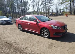 5NPE34AF8HH511557: 44553548