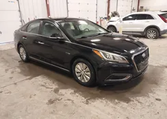 KMHE24L31HA066541: 44553943