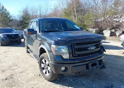 1FTFW1EF4DFB12122: 44554108