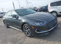 KMHL24JJ2MA030019: 44553314