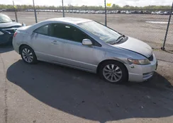 2HGFG1B88AH528558: 44554824