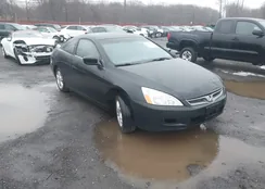 1HGCM72346A004557: 44555081