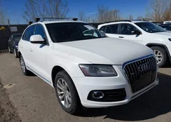 WA1CFAFP3EA093789: 44554396