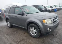 1FMCU0D76AKB28690: 44555551