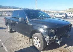 1FTEW1CF9HKC00787: 44555708