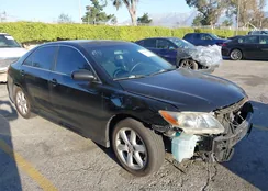 4T1BE46K99U409819: 44556953