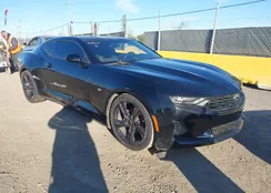 1G1FB1RSXK0121743: 44557052