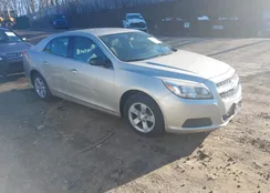 1G11B5SA5DF186003: 44557562