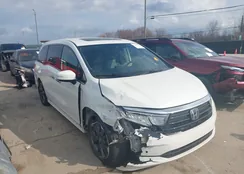 5FNRL6H94MB002457: 44557689