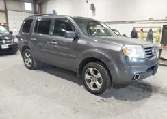 5FNYF4H46EB022271: 44559028