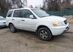 5FNYF18455B030957: 44559050