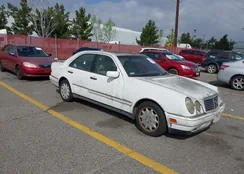 WDBJF55F1VA335099: 44559642