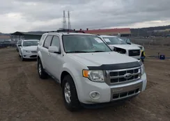 1FMCU9EG0CKB99874: 44559656