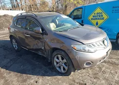 JN8AZ1MWXAW122074: 44559781