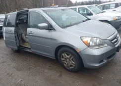 5FNRL38746B104308: 44559976