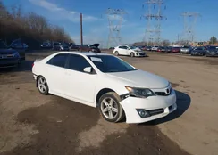 4T1BF1FK1DU213538: 44559198