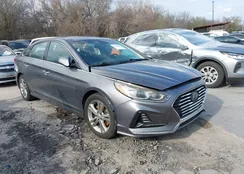 5NPE34AF0JH668053: 44560564