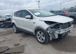 1FMCU9GX0FUA88232: 44560778