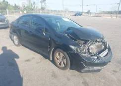 19XFB2F54FE121536: 44560853