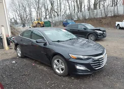 1G1ZD5ST0NF197958: 44561558