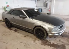 1ZVHT84N585146033: 44561866