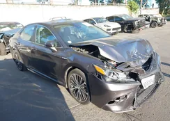 4T1G31AK1LU528859: 44561918