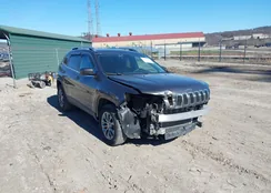 1C4PJMLB7LD533637: 44563722