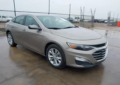 1G1ZD5ST5SF133880: 44563288