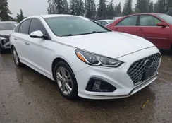 5NPE34AF0KH737907: 44563331