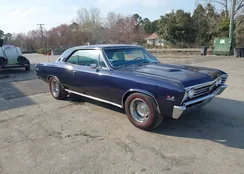 138177B191606: 44564264