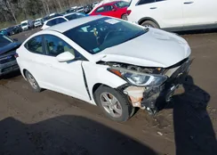 5NPDH4AE4FH597970: 44564393