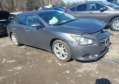 1N4AA5AP5EC481479: 44567839