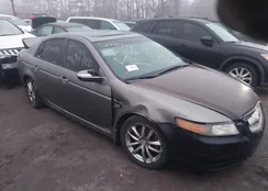 19UUA66207A048436: 44567871