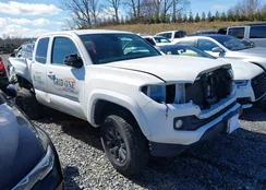 3TYSZ5AN8MT018193: 44567973